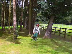 Commercial Strimming