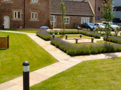 Commercial Landscape Maintenance