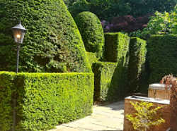 Estates and Private Gardens Hedge Cutting